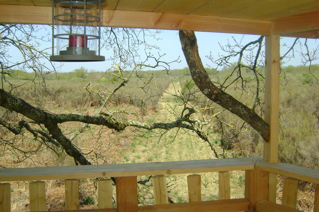 Les Cabanes De Chanteclair Chalais  Buitenkant foto