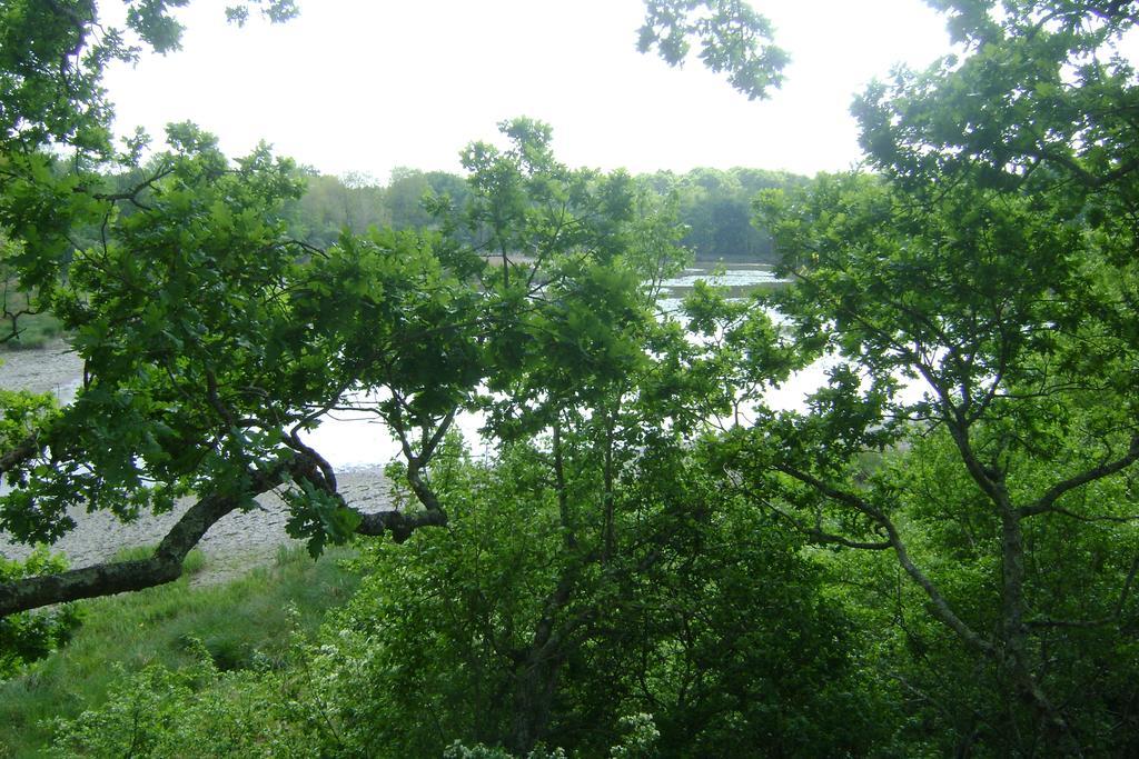Les Cabanes De Chanteclair Chalais  Buitenkant foto